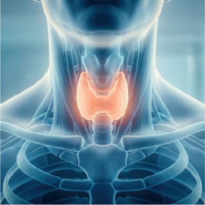 Endocrine Imaging: Updates and Practical Clinical Approaches